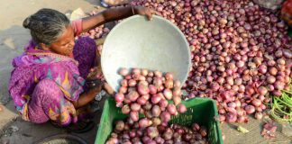 High Onion Prices in India